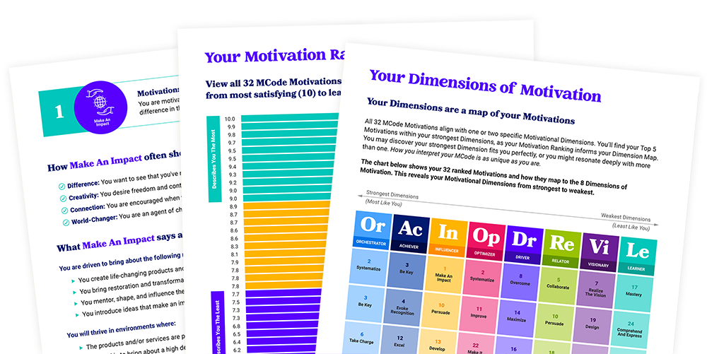 Motivation Code report pages